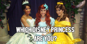 Which Disney Princess Are You?