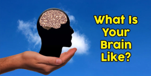 What Is Your Brain Like?