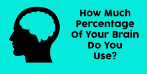 How Much Percentage Of Your Brain Do You Use?