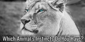Which Animal’s Instincts Do You Have?