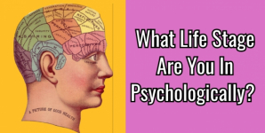 What Life Stage Are You In Psychologically?