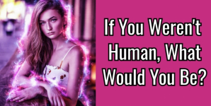 If You Weren’t Human, What Would You Be?