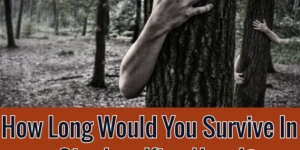 How Long Would You Survive In A Stephen King Novel?