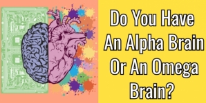 Do You Have An Alpha Brain Or An Omega Brain?