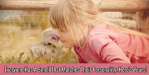 Everyone Has A Smell That Matches Their Personality. Here’s Yours!