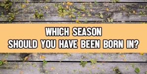 Which Season Should You Have Been Born In?