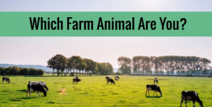 Which Farm Animal Are You?