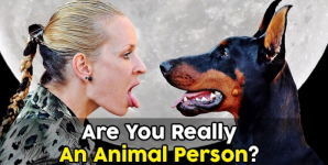 Are You Really An Animal Person?