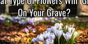 What Type Of Flowers Will Grow On Your Grave?