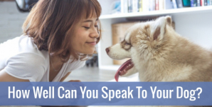 How Well Can You Speak To Your Dog?