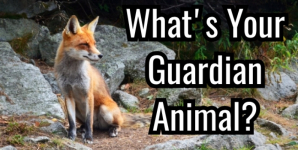 What’s Your Guardian Animal?