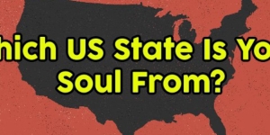 Which US State Is Your Soul From?