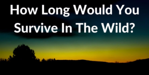 How Long Would You Survive In The Wild?