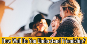 How Well Do You Understand Friendship?