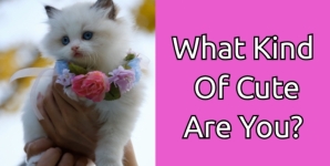 What Kind Of Cute Are You?