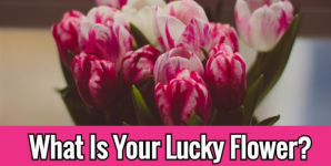 What Is Your Lucky Flower?