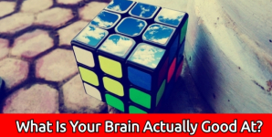 What Is Your Brain Actually Good At?