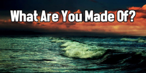 What Are You Made Of?