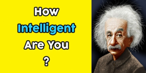 How Intelligent Are You?