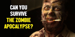 Can You Survive The Zombie Apocalypse?