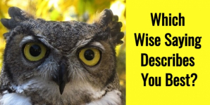 Which Wise Saying Describes You Best?