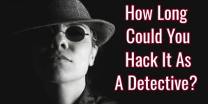 How Long Could You Hack It As A Detective?