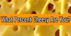 What Percent Cheesy Are You?