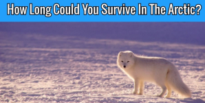 How Long Could You Survive In The Arctic?