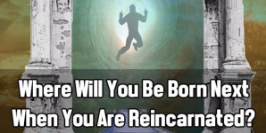 Where Will You Be Born Next When You Are Reincarnated?