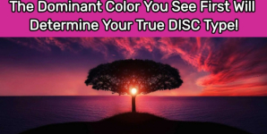 The Dominant Color You See First Will Determine Your True DISC Type!