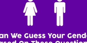 Can We Guess Your Gender Based On These Questions?