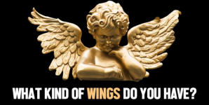 What Kind Of Wings Do You Have?