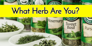 What Herb Are You?