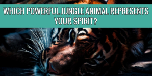 Which Powerful Jungle Animal Represents Your Spirit?