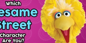 Which Sesame Street Character Are You?