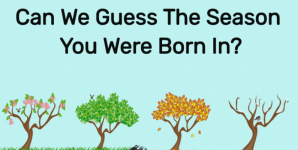 Can We Guess The Season You Were Born In?