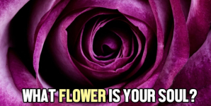 What Flower Is Your Soul?