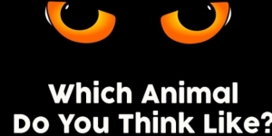 Which Animal Do You Think Like?