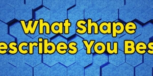 What Shape Describes You Best?