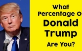 What Percentage Of Donald Trump Are You?