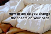 How often do you change the sheets on your bed?